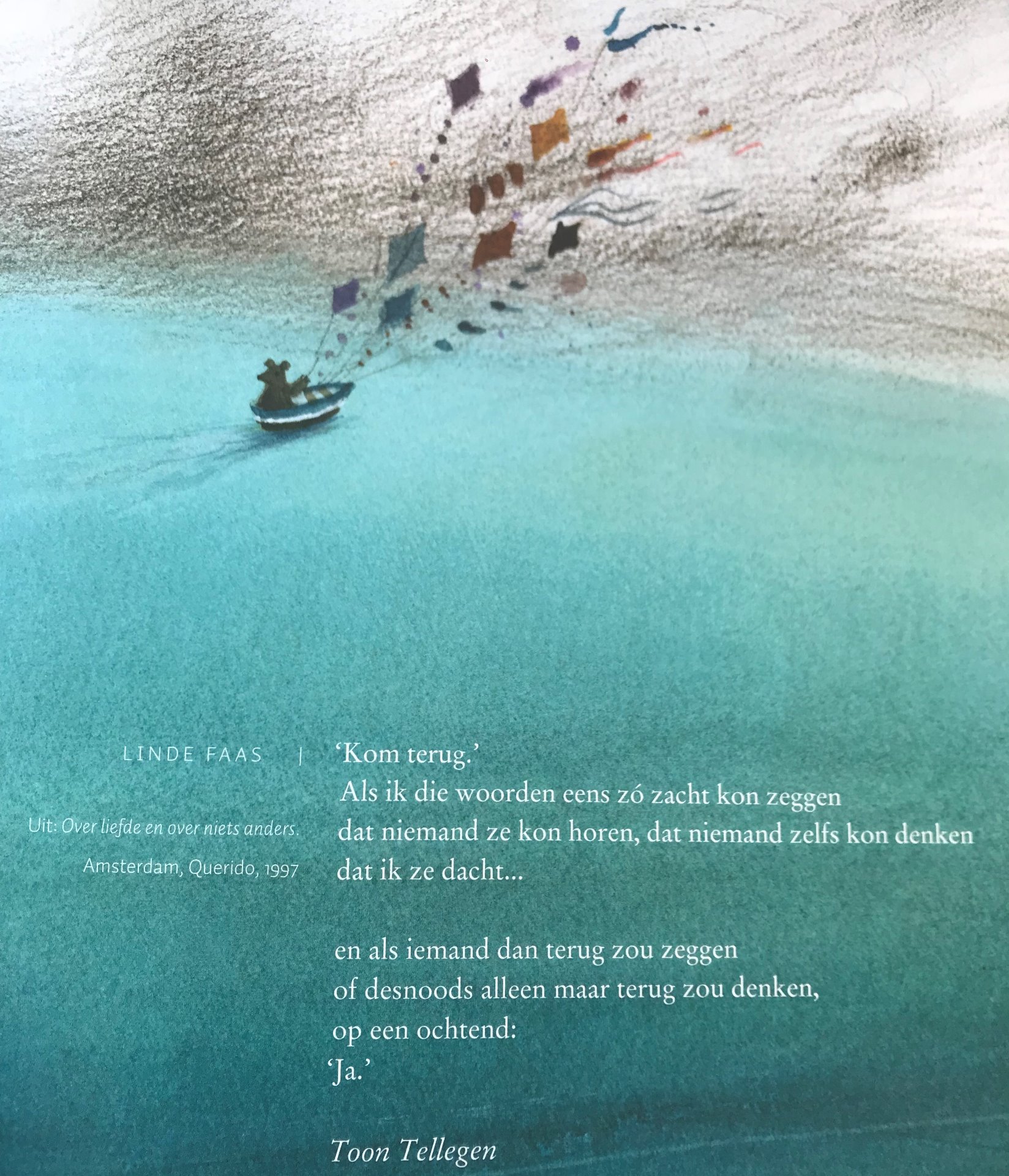 Tellegen, T. (2014) Zo mooi anders. Rotterdam, Nederland: Lemniscaat.